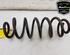 Coil Spring AUDI Q5 (8RB), AUDI Q5 Van (8RB)