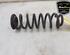 Coil Spring VW TIGUAN (AD1, AX1), VW TIGUAN ALLSPACE (BW2)