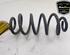 Coil Spring RENAULT TWINGO III (BCM_, BCA_)