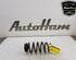 Coil Spring RENAULT CAPTUR I (J5_, H5_), RENAULT CLIO IV (BH_)