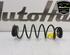 Coil Spring OPEL CORSA F (P2JO), PEUGEOT 208 II (UB_, UP_, UW_, UJ_)