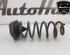 Coil Spring RENAULT KADJAR (HA_, HL_), NISSAN QASHQAI II SUV (J11, J11_)