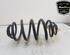 Coil Spring MERCEDES-BENZ VITO / MIXTO Van (W639), MERCEDES-BENZ VIANO (W639)