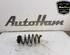 Coil Spring RENAULT CAPTUR I (J5_, H5_), RENAULT CLIO IV (BH_)