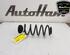 Coil Spring AUDI A5 Convertible (8F7), AUDI A4 Avant (8K5, B8), AUDI A5 Sportback (8TA)