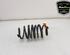 Coil Spring SUZUKI SWIFT V (AZ)