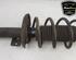 Shock Absorber SEAT IBIZA IV (6J5, 6P1), SEAT IBIZA IV SC (6J1, 6P5)