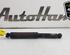 Shock Absorber FORD TRANSIT CONNECT (P65_, P70_, P80_)