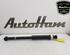 Shock Absorber RENAULT CLIO V (B7_)