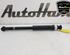 Shock Absorber RENAULT CLIO V (B7_)