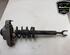 Shock Absorber AUDI A6 (4F2, C6), AUDI A6 Avant (4F5, C6)