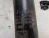 Shock Absorber AUDI A6 (4F2, C6), AUDI A6 Avant (4F5, C6)