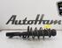 Shock Absorber SKODA FABIA II (542), SKODA FABIA I (6Y2), SKODA FABIA II Combi (545)