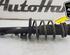 Shock Absorber SKODA FABIA II (542), SKODA FABIA I (6Y2), SKODA FABIA II Combi (545)