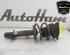 Shock Absorber MINI MINI Convertible (R52)