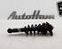 Shock Absorber MINI MINI Convertible (R52)