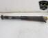 Shock Absorber VW TIGUAN (AD1, AX1), VW TIGUAN ALLSPACE (BW2)