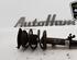 Shock Absorber MINI MINI (R50, R53), MINI MINI (R56)