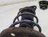 Shock Absorber RENAULT TWINGO III (BCM_, BCA_)