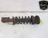 Shock Absorber NISSAN PRIMASTAR Bus (X83)