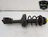 Shock Absorber RENAULT TWINGO II (CN0_)