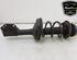 Shock Absorber RENAULT TWINGO II (CN0_)