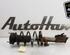 Shock Absorber FORD FIESTA VI (CB1, CCN)