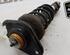 Shock Absorber MINI MINI (R56)