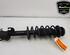 Shock Absorber NISSAN MICRA IV (K13_)