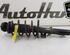 Shock Absorber SKODA FABIA II (542), SKODA FABIA I (6Y2), SKODA FABIA II Combi (545), SKODA ROOMSTER Praktik (5J)