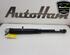 Shock Absorber SKODA KAMIQ (NW4)