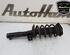 Shock Absorber VW PASSAT (3C2), VW PASSAT B7 Variant (365), VW PASSAT Variant (3C5), SKODA OCTAVIA II Combi (1Z5)