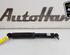 Shock Absorber NISSAN QASHQAI II SUV (J11, J11_)