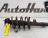 Shock Absorber FORD TRANSIT CUSTOM V362 Van (FY, FZ), FORD TRANSIT CONNECT (P65_, P70_, P80_)