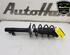 Shock Absorber TOYOTA AYGO (_B4_), CITROËN C1 II (PA_, PS_), PEUGEOT 108