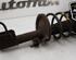 Shock Absorber PEUGEOT 807 (EB_)