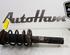 Shock Absorber AUDI TT Roadster (8J9)