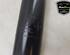 Shock Absorber FIAT DUCATO Van (250_, 290_), FIAT DUCATO Bus (250_, 290_)