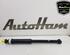 Shock Absorber RENAULT CLIO V (B7_)