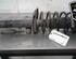 Shock Absorber PEUGEOT 207 (WA_, WC_), PEUGEOT 207 CC (WD_), PEUGEOT 207 SW (WK_)