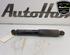 Shock Absorber FIAT DUCATO Van (250_, 290_), FIAT DUCATO Bus (250_, 290_)