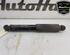 Shock Absorber FIAT DUCATO Van (250_, 290_), FIAT DUCATO Bus (250_, 290_)