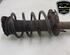 Shock Absorber FORD FOCUS III Turnier, FORD C-MAX II (DXA/CB7, DXA/CEU), FORD FOCUS III