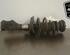 Shock Absorber OPEL ASTRA J (P10)