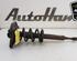 Shock Absorber AUDI A4 Avant (8ED, B7)