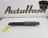 Shock Absorber FIAT DUCATO Van (250_, 290_), FIAT DUCATO Bus (250_, 290_)