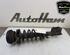 Shock Absorber OPEL VIVARO A Van (X83)