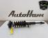 Shock Absorber BMW 5 (F10)