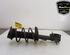 Shock Absorber RENAULT CLIO IV Grandtour (KH_)