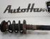 Shock Absorber AUDI TT (8J3)